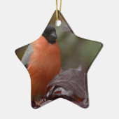 Bull Finch Keramisch Ornament (Links)