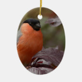 Bull Finch Keramisch Ornament (Voorkant)