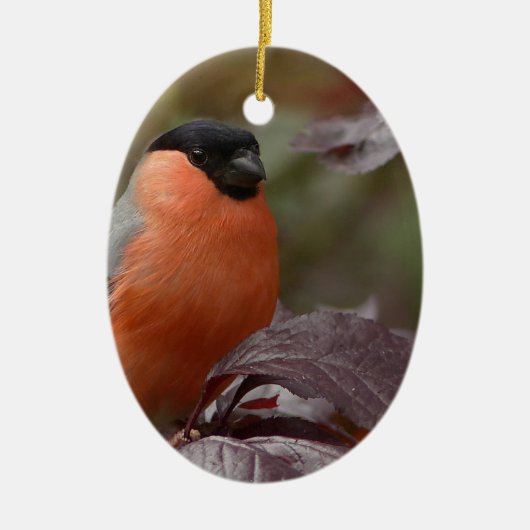 Bull Finch Keramisch Ornament (Voorkant)