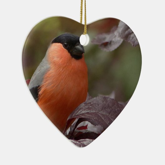 Bull Finch Keramisch Ornament (Rechts)