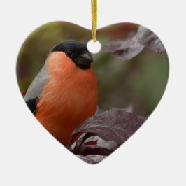 Bull Finch Keramisch Ornament