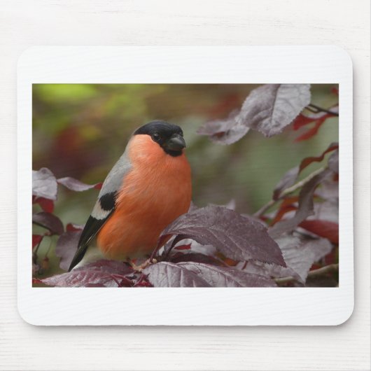 Bull Finch Muismat (Voorkant)