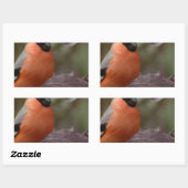 Bull Finch Rechthoekige Sticker (Vel)