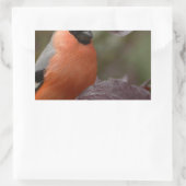 Bull Finch Rechthoekige Sticker (Tas)