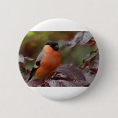 Bull Finch Ronde Button 5,7 Cm (Voorkant)