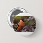 Bull Finch Ronde Button 5,7 Cm (Voorkant /achterkant)
