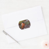 Bull Finch Ronde Sticker (Envelop)