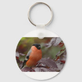 Bull Finch Sleutelhanger (Voorkant)