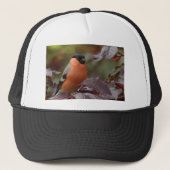 Bull Finch Trucker Pet (Voorkant)