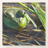 Bull Frog Glazen Onderzetter (Voorkant)