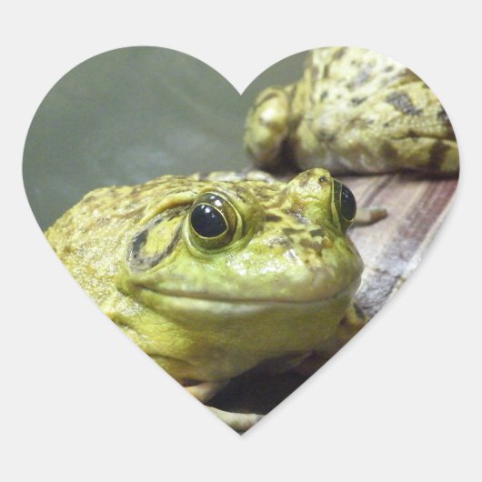 Bull Frog Hart Sticker (Voorkant)
