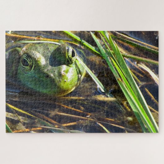 Bull Frog Legpuzzel (Horizontaal)