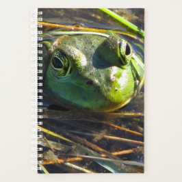 Bull Frog Planner