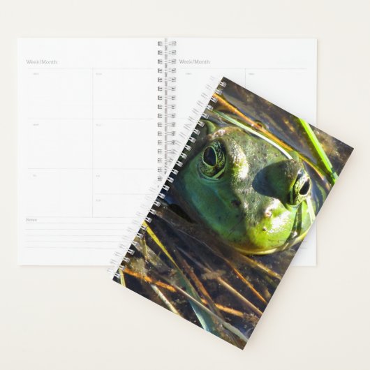Bull Frog Planner (Display)