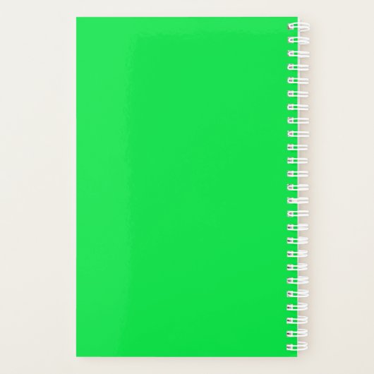 Bull Frog Planner (Achterkant)