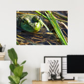 Bull Frog Poster (Thuiskantoor)