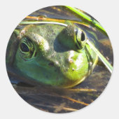 Bull Frog Stickers (Voorkant)