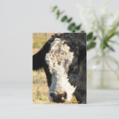 Bull Handsome Briefkaart (Staand voorkant)