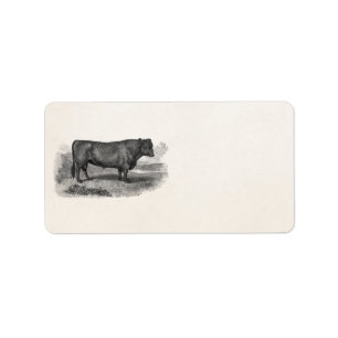  bull Illustration Retro Cow Bulls 1800s Etiket