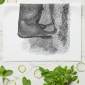  bull Illustration Retro Cow Bulls 1800s Theedoek (Gevouwen)