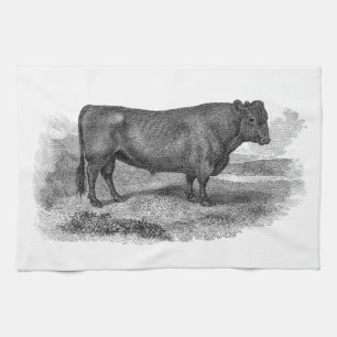  bull Illustration Retro Cow Bulls 1800s Theedoek