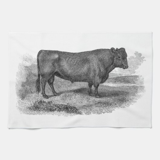  bull Illustration Retro Cow Bulls 1800s Theedoek (Horizontaal)