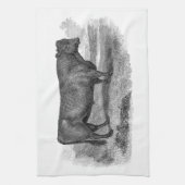  bull Illustration Retro Cow Bulls 1800s Theedoek (Verticaal)