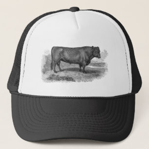  bull Illustration Retro Cow Bulls 1800s Trucker Pet