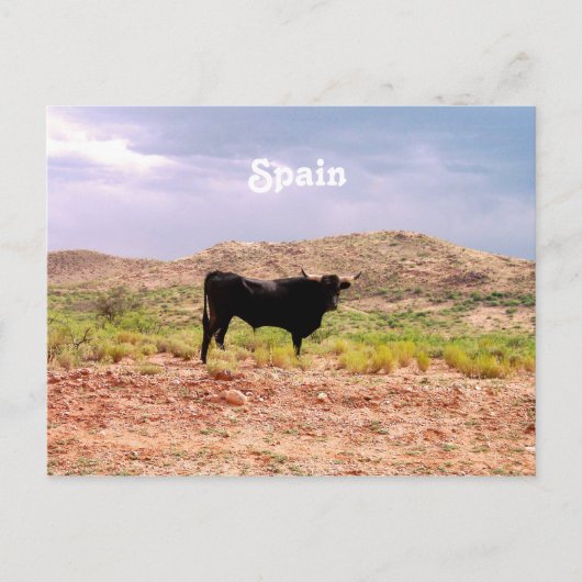 Bull in Spanje Briefkaart (Voorkant)