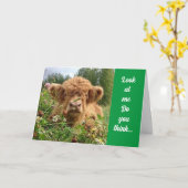 BULL IS SERIEUS EN ZEGT "HAPPY 60TH BIRTHDAY" KAART (Gele Bloem)