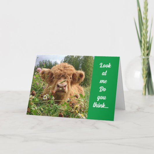 BULL IS SERIEUS EN ZEGT "HAPPY 60TH BIRTHDAY" KAART (Voorkant)