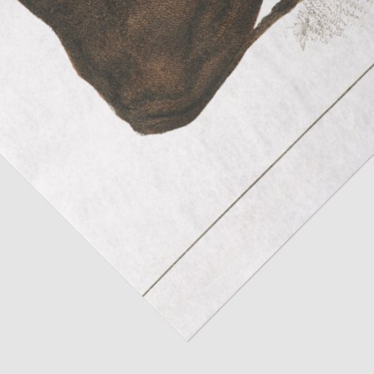 Bull Koe Ephemera Decoupage Boerderij Tissuepapier (Detail)