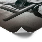 BULL LAKOTA CHIEF 1884 POSTER (Hoek)