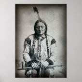 BULL LAKOTA CHIEF 1884 POSTER (Voorkant)