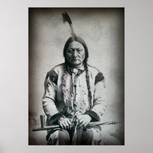 BULL LAKOTA CHIEF 1884 POSTER
