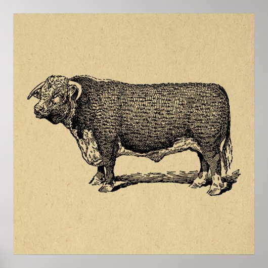  Bull Land & Boerderij Geëmigende Kunst Poster (Voorkant)