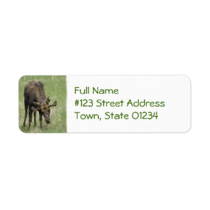 Bull Mailing Label