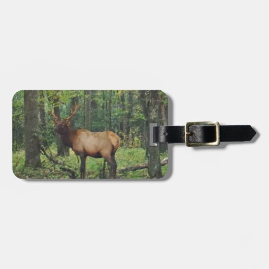 Bull Male Elk in herfstveld Bagagelabel (Voorkant horizontaal)
