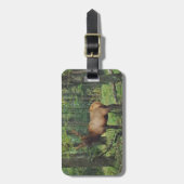 Bull Male Elk in herfstveld Bagagelabel (Voorkant verticaal)