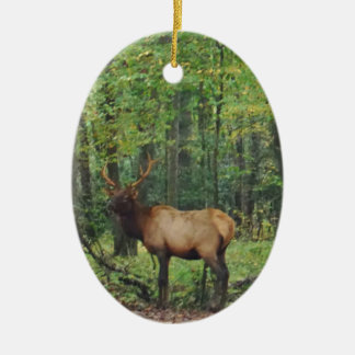 Bull Male Elk in herfstveld Keramisch Ornament