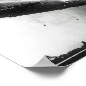 Bull Market Crash Humor Poster (Hoek)