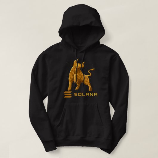 Bull Market Solana SOL Crypto Coin HODL Hoodie (Design voorkant)