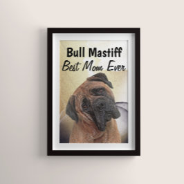 Bull Mastiff Best Mam Poster