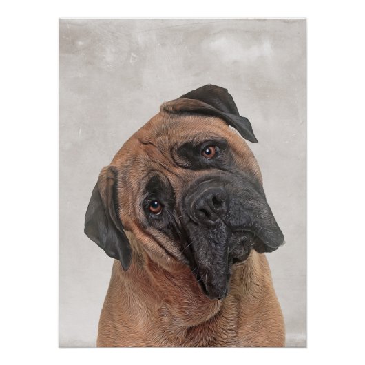 Bull Mastiff Poster (Voorkant)