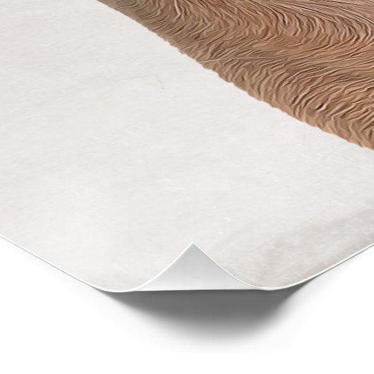 Bull Mastiff Poster (Hoek)