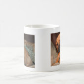 bull mastiff puppie mok (Center)