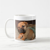 bull mastiff puppie mok (Links)