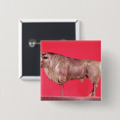 Bull met drie hoorns uit Avrigney Vierkante Button 5,1 Cm (Voorkant /achterkant)
