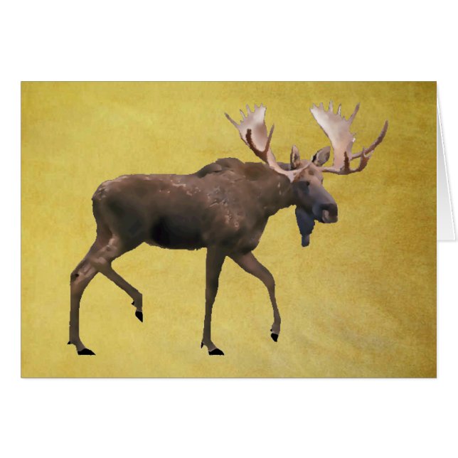 Bull Moose (Voorkant Horizontaal)