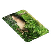 Bull Moose 3 x 4 inch Flexibele Photo Magnet Magneet (Rechterzijde)